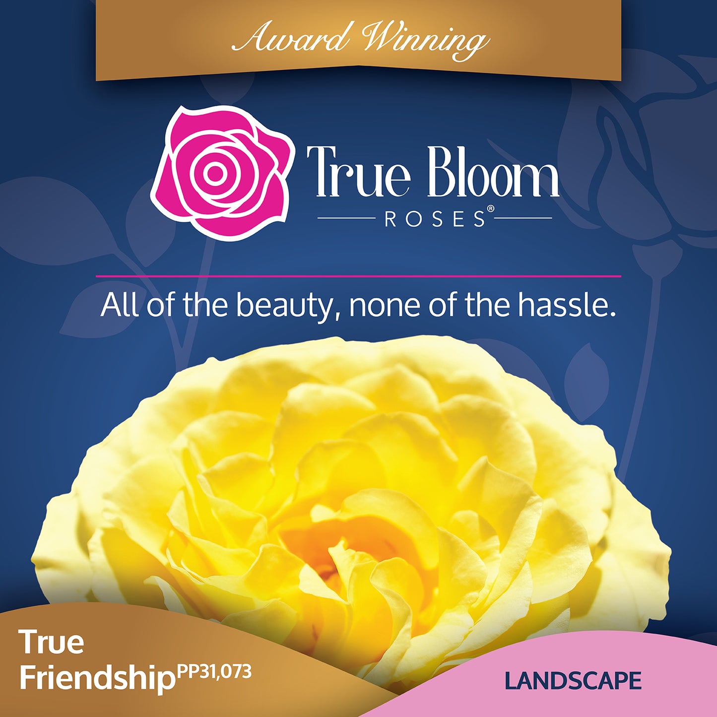 Front of the True Friendship plant care tag with photo and product details