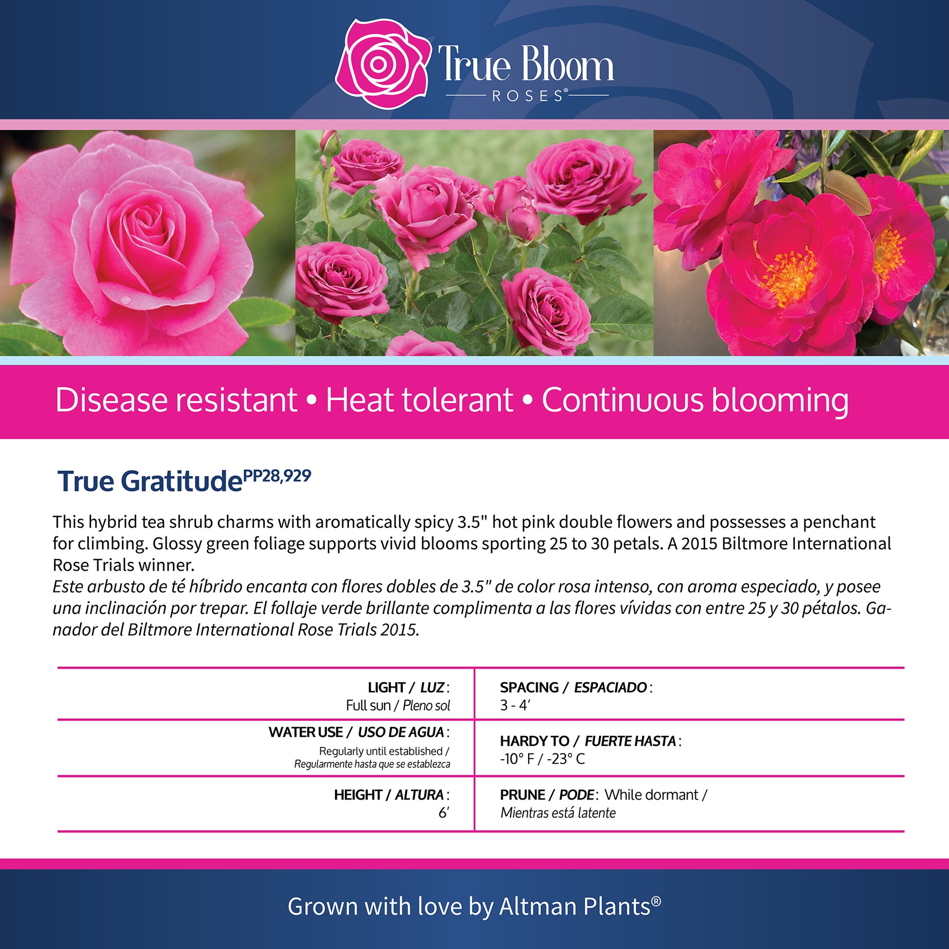 Back of the True Gratitude plant care tag with growing instructions