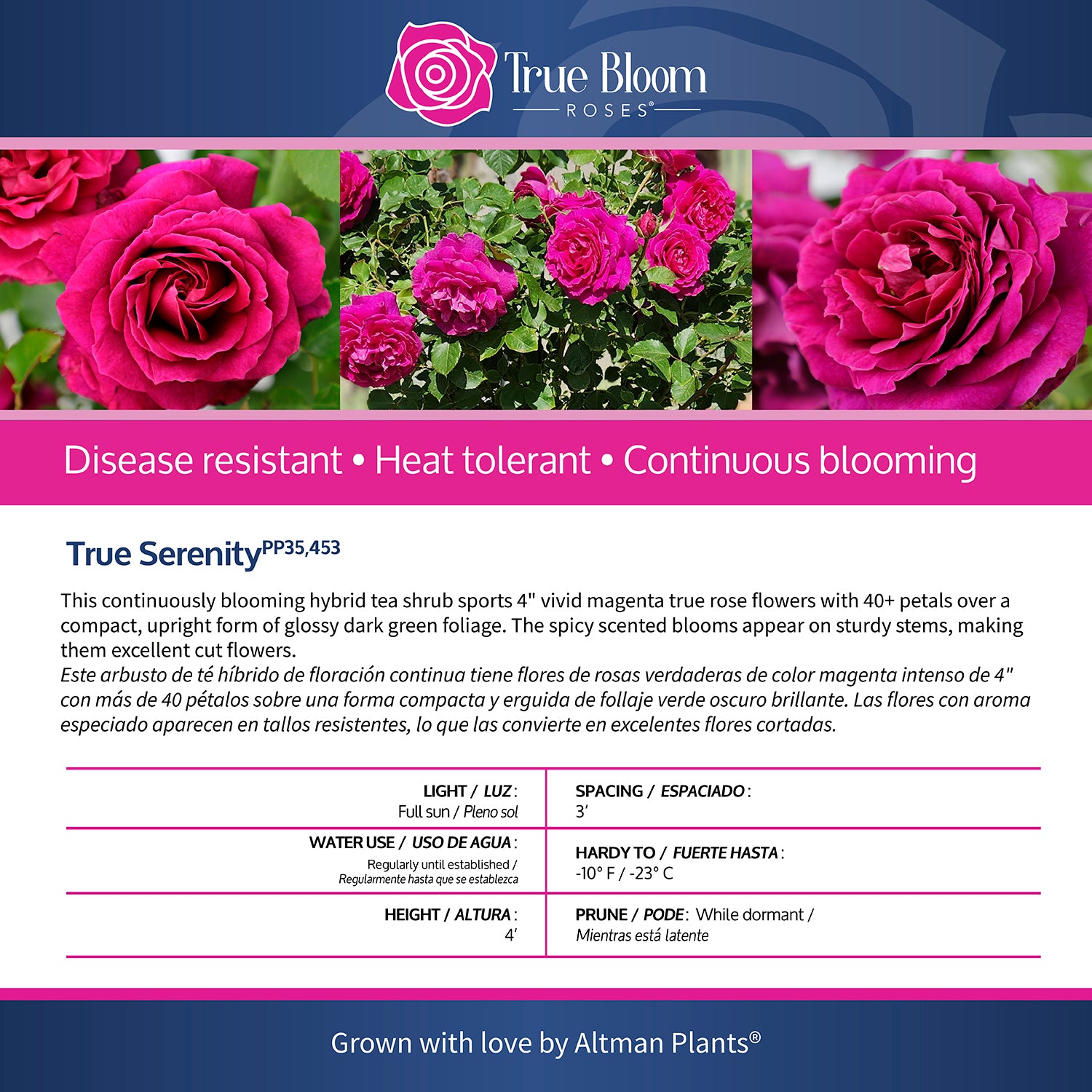 Back of the True Serenity plant care tag with growing instructions
