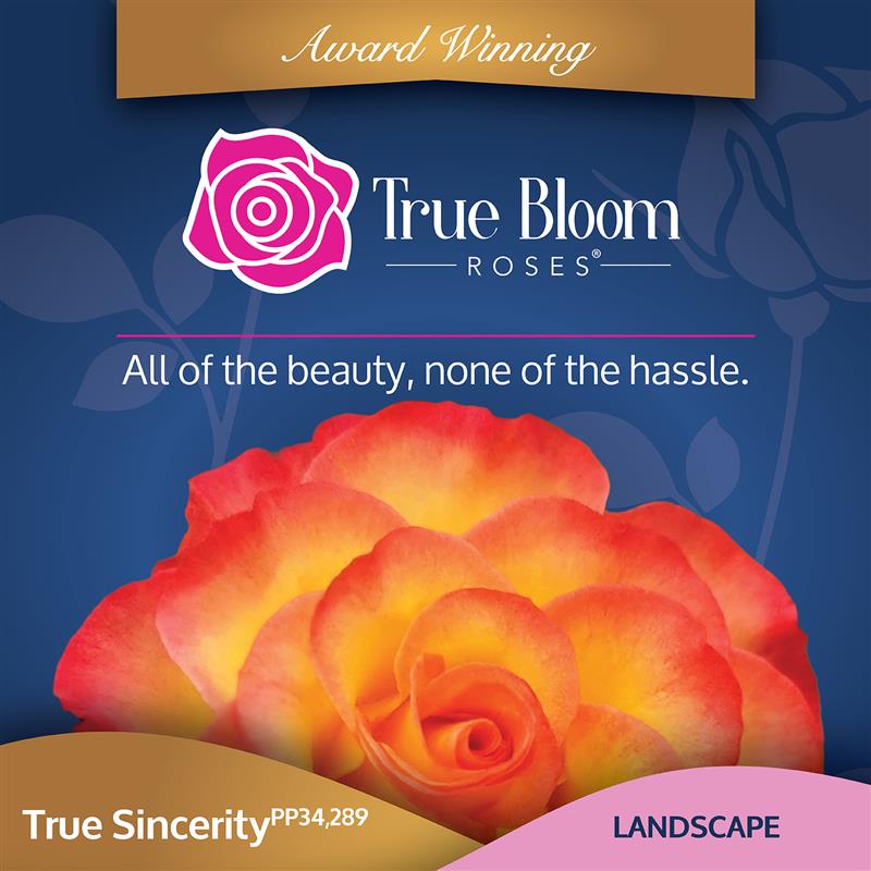 Front of the True Sincerity plant care tag with photo and product details