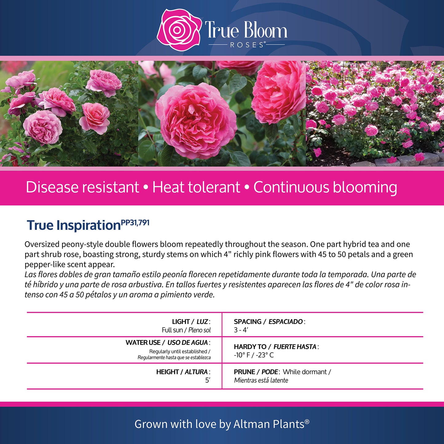 Back of the True Inspiration plant care tag with growing instructions