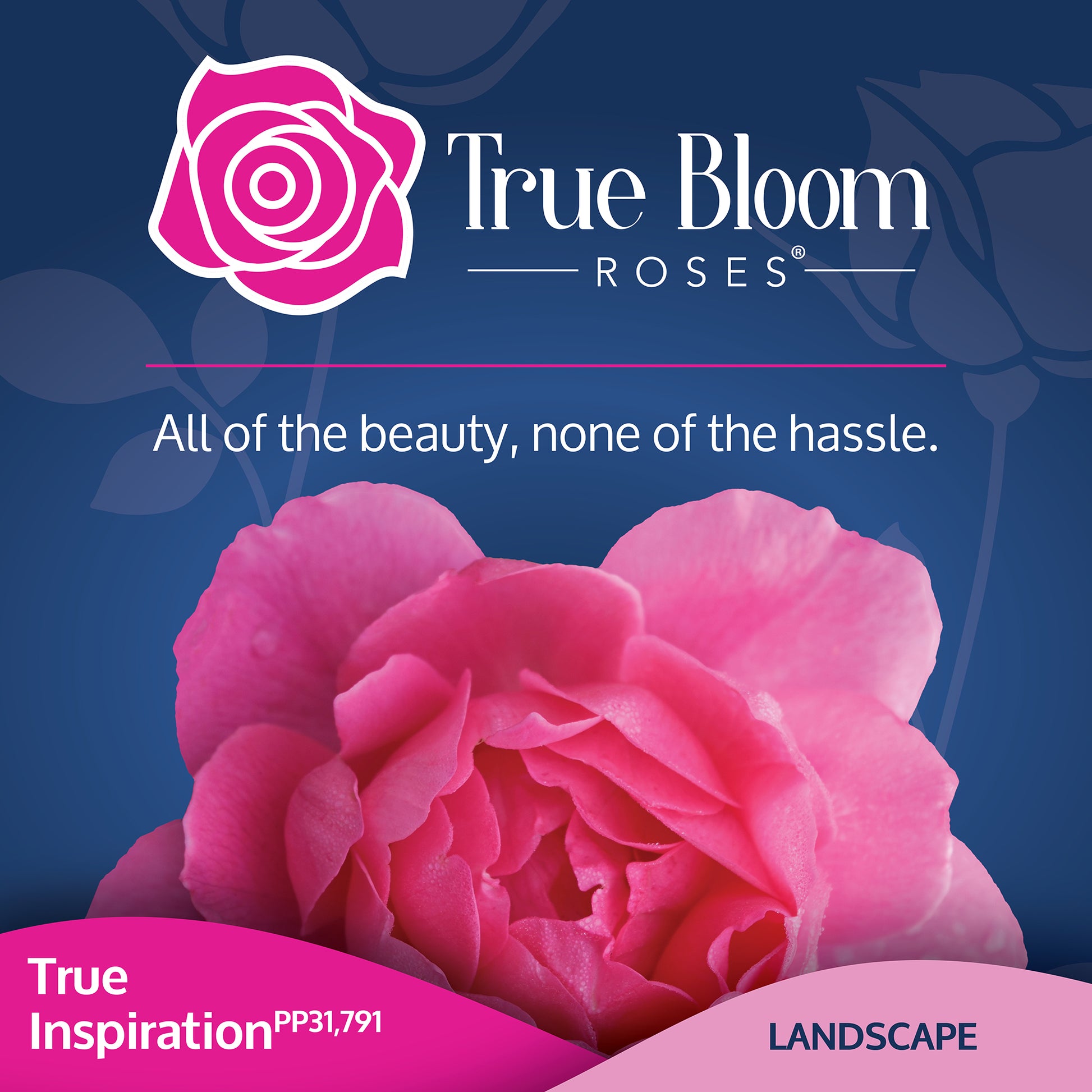 Front of the True Inspiration plant care tag with photo and product details