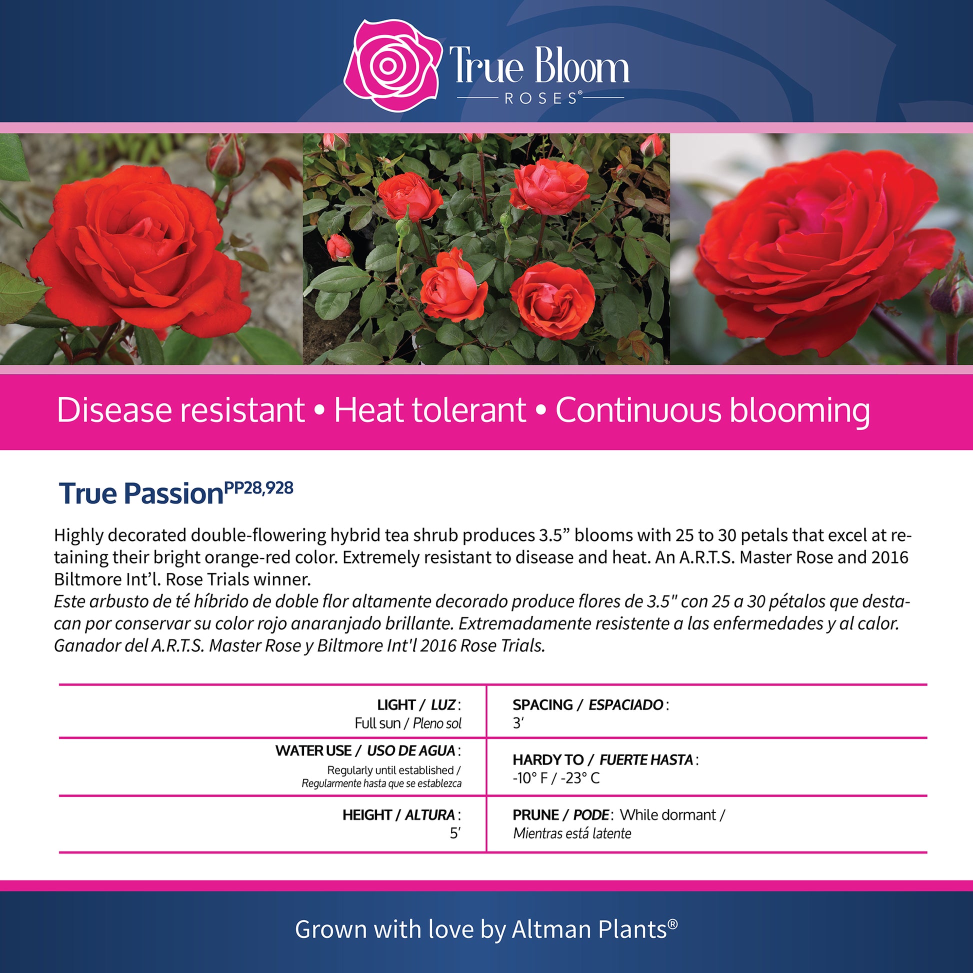 Back of the True Passion plant care tag with growing instructions