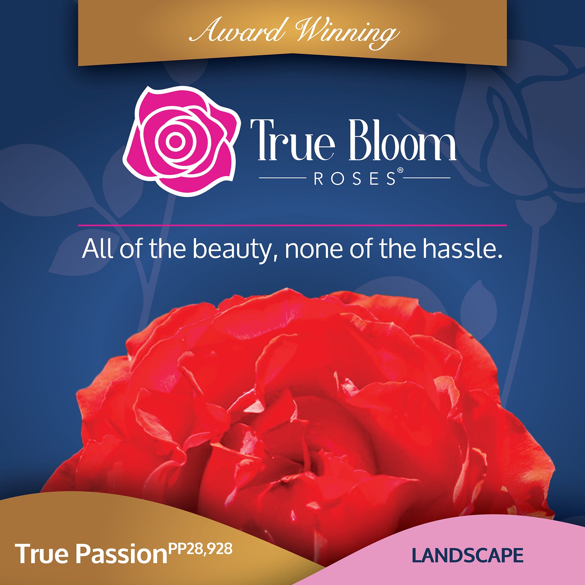 Front of the True Passion plant care tag with photo and product details