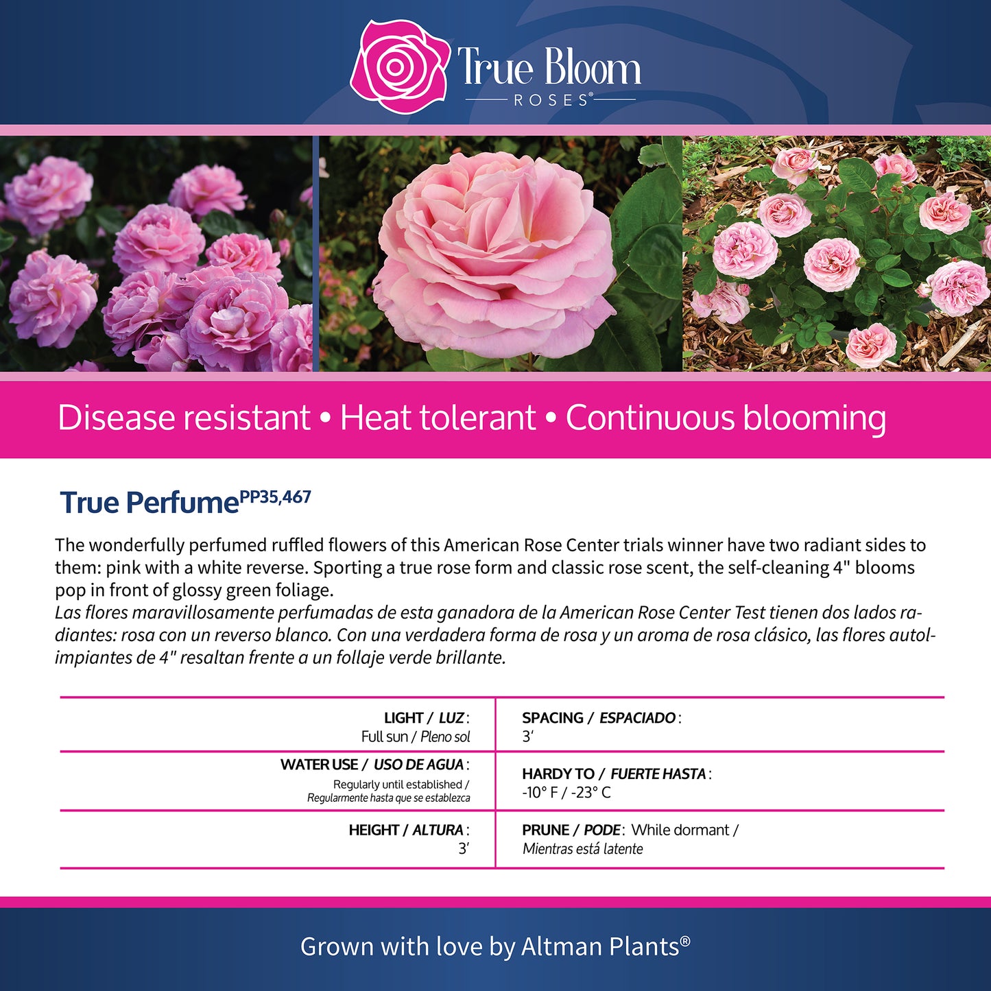 True Bloom Roses product information with pink roses and branding details.