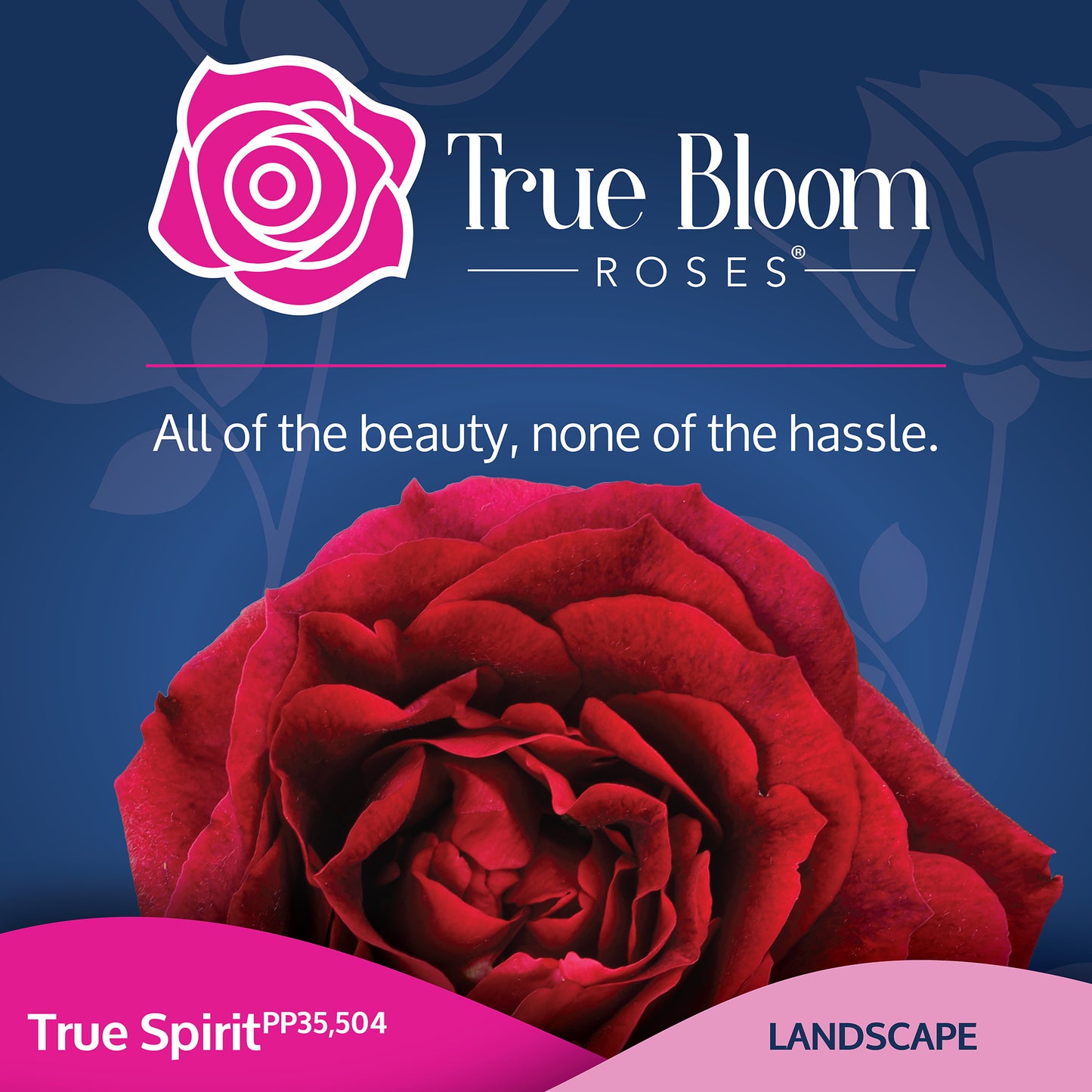 Front of the True Spirit plant care tag with photo and product details