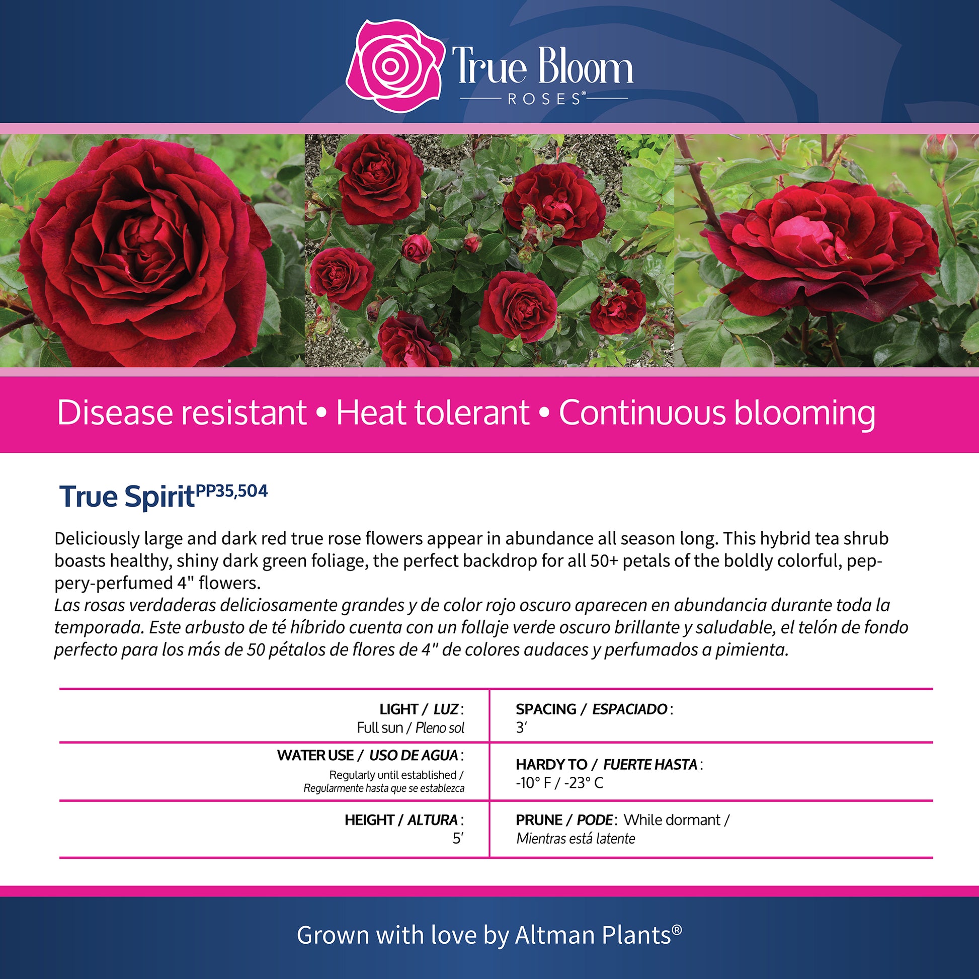 Front of the True Spirit plant care tag with photo and product details